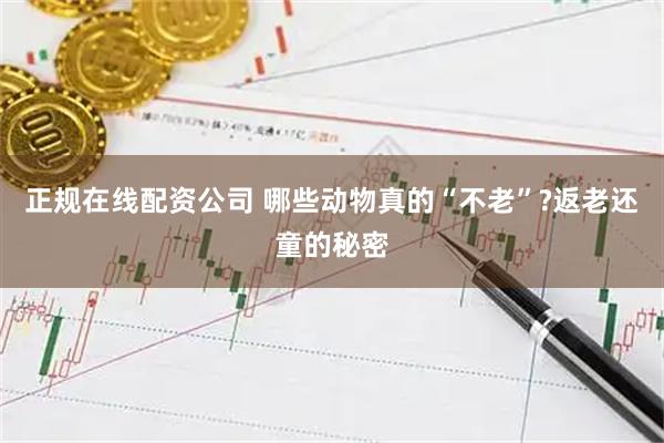 正规在线配资公司 哪些动物真的“不老”?返老还童的秘密