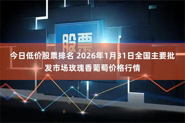 今日低价股票排名 2026年1月31日全国主要批发市场玫瑰香葡萄价格行情