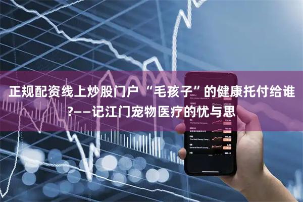 正规配资线上炒股门户 “毛孩子”的健康托付给谁?——记江门宠物医疗的忧与思