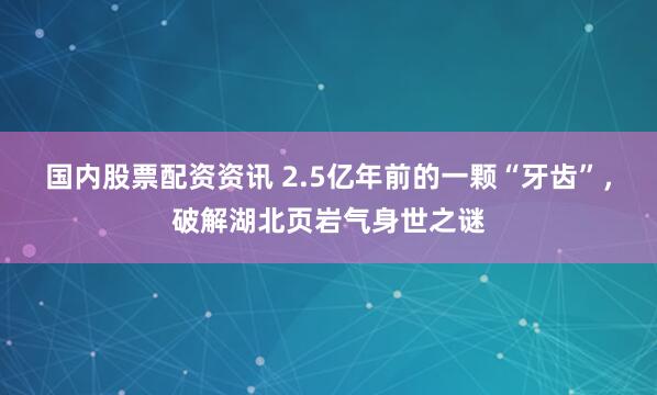 国内股票配资资讯 2.5亿年前的一颗“牙齿”，破解湖北页岩气身世之谜